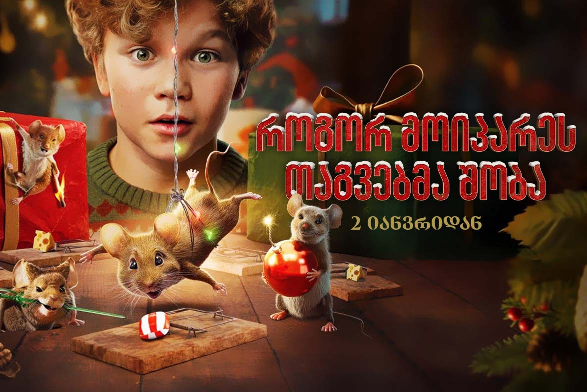 როგორ მოიპარეს თაგვებმა შობა