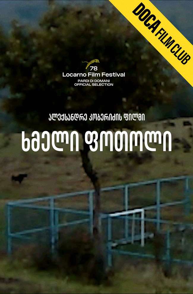 ხმელი ფოთოლი